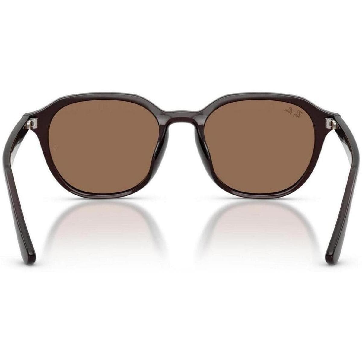 Men's Sunglasses Ray-ban Brown