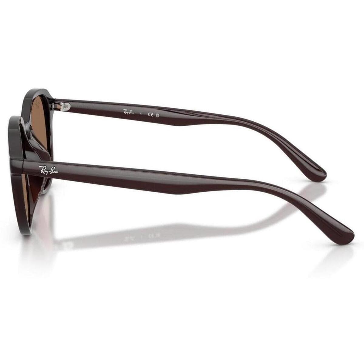 Men's Sunglasses Ray-ban Brown
