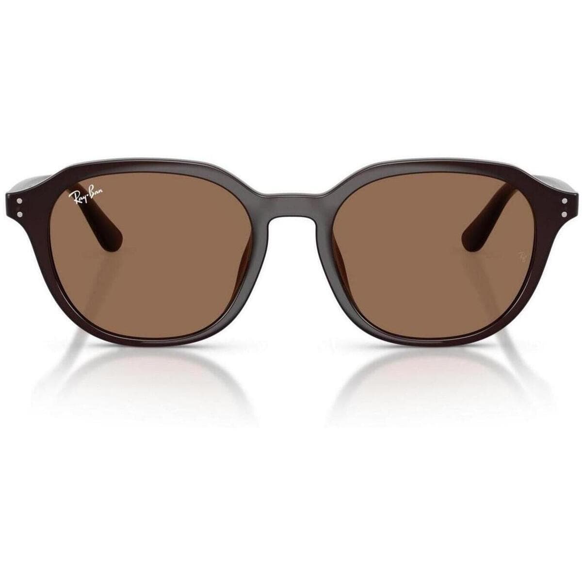 Men's Sunglasses Ray-ban Brown