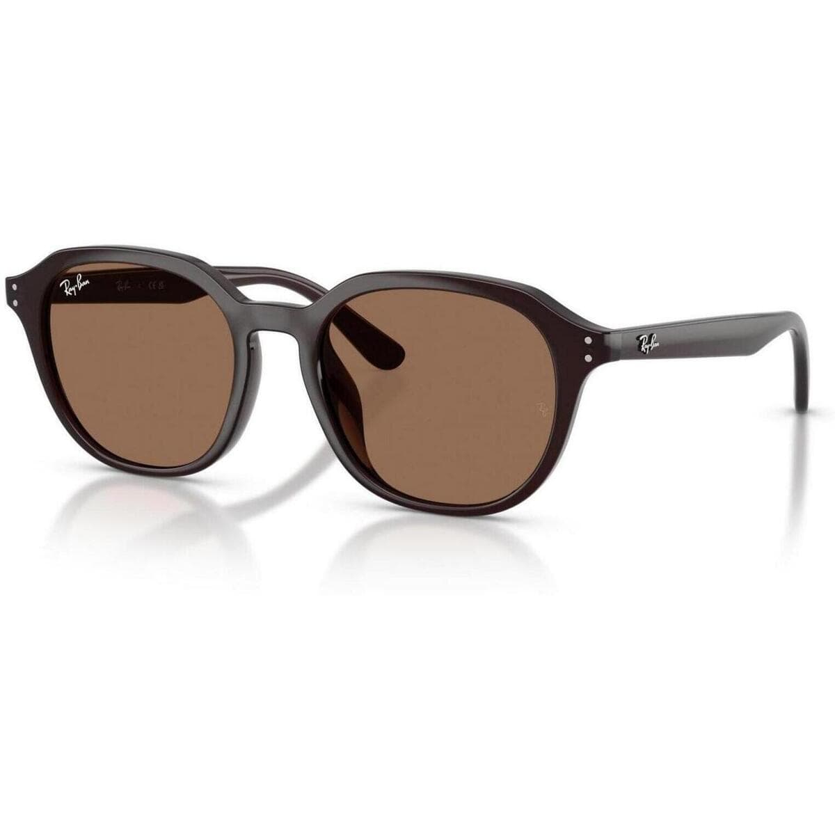 Men's Sunglasses Ray-ban Brown