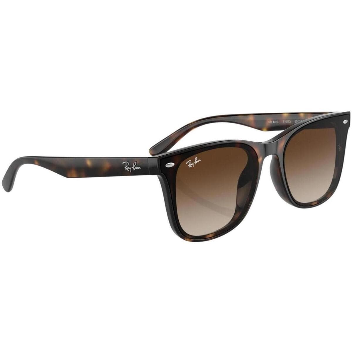 Men's Sunglasses Ray-ban Brown