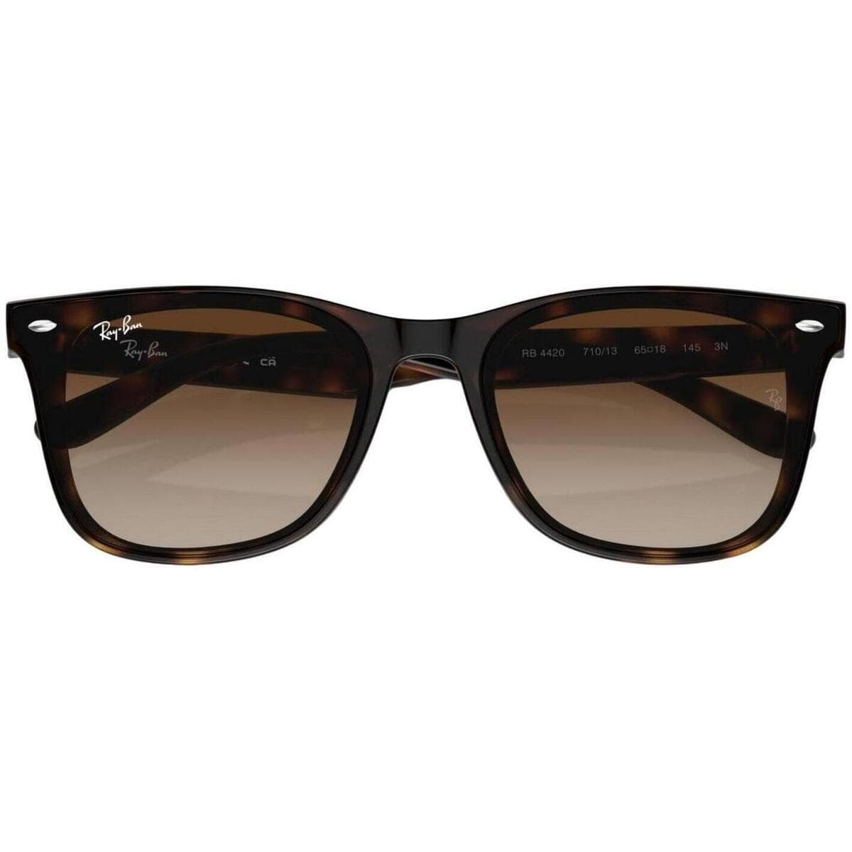 Men's Sunglasses Ray-ban Brown