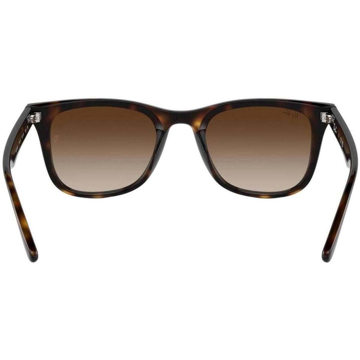 Men's Sunglasses Ray-ban Brown