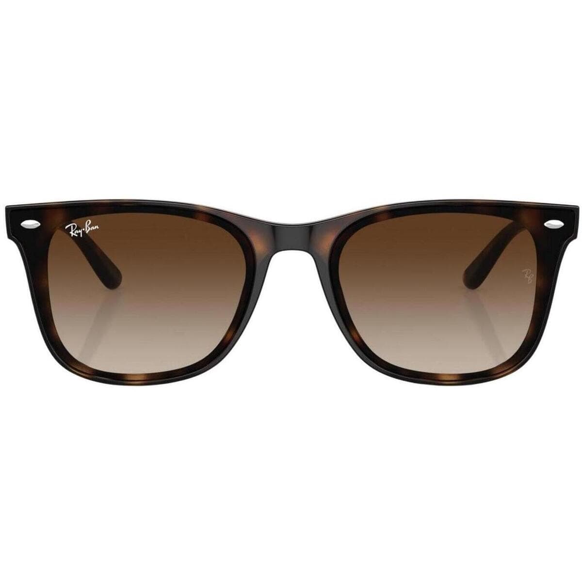 Men's Sunglasses Ray-ban Brown