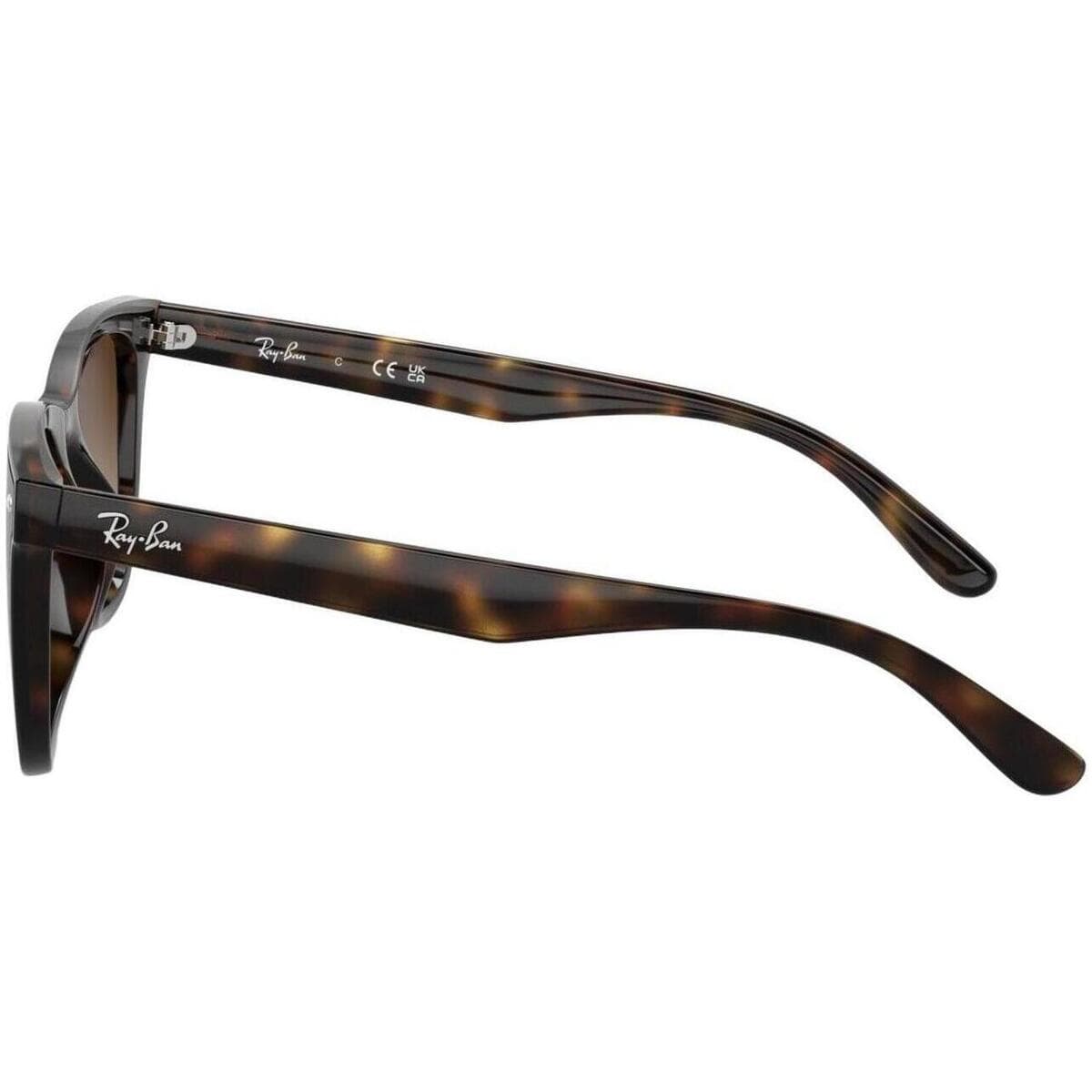 Men's Sunglasses Ray-ban Brown