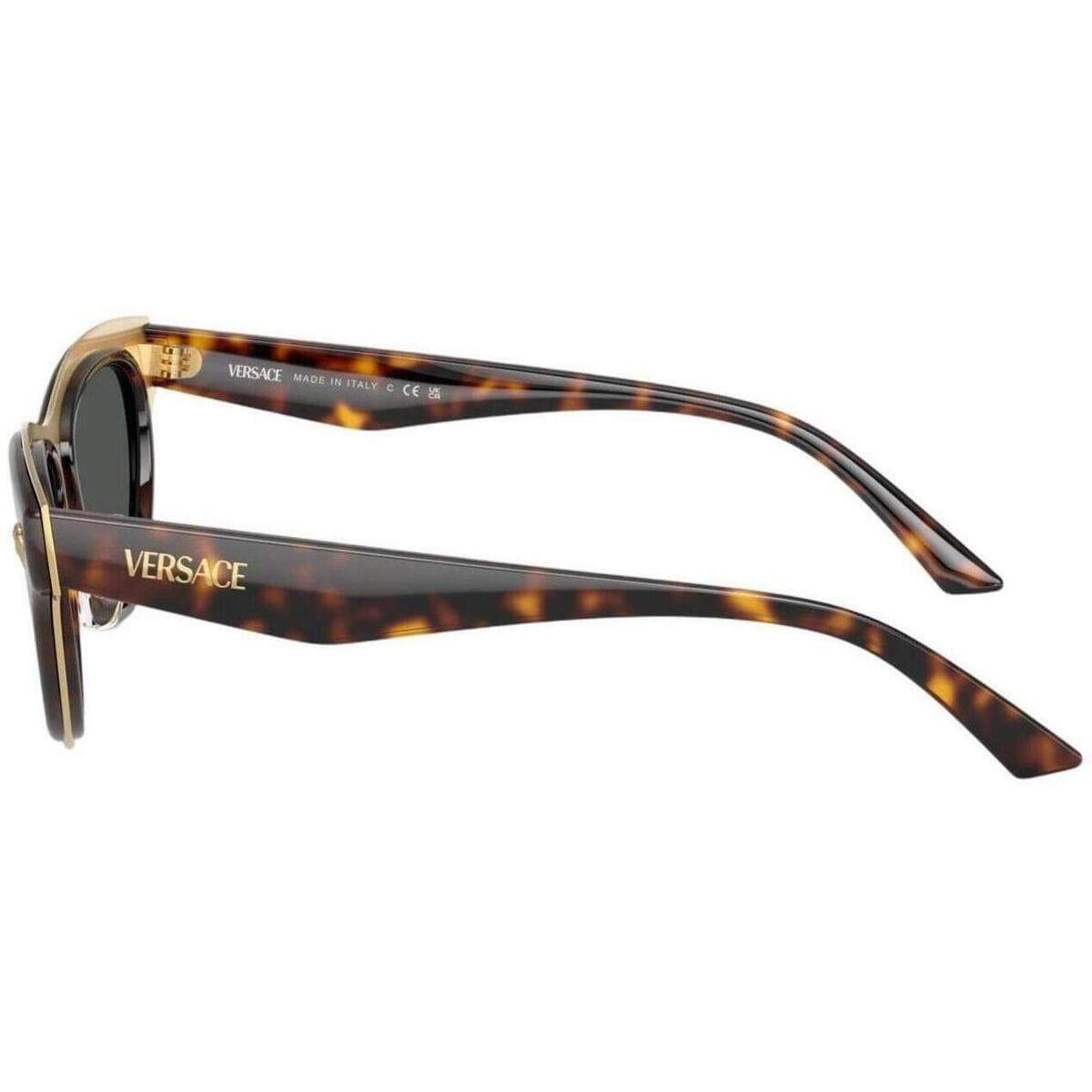 Women's Sunglasses Versace Brown