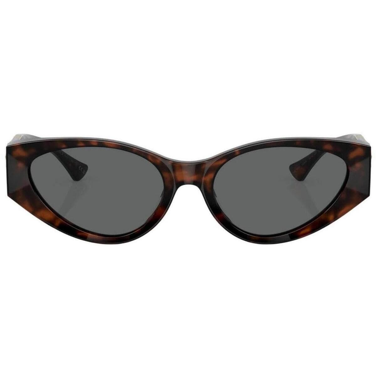Women's Sunglasses Versace Brown