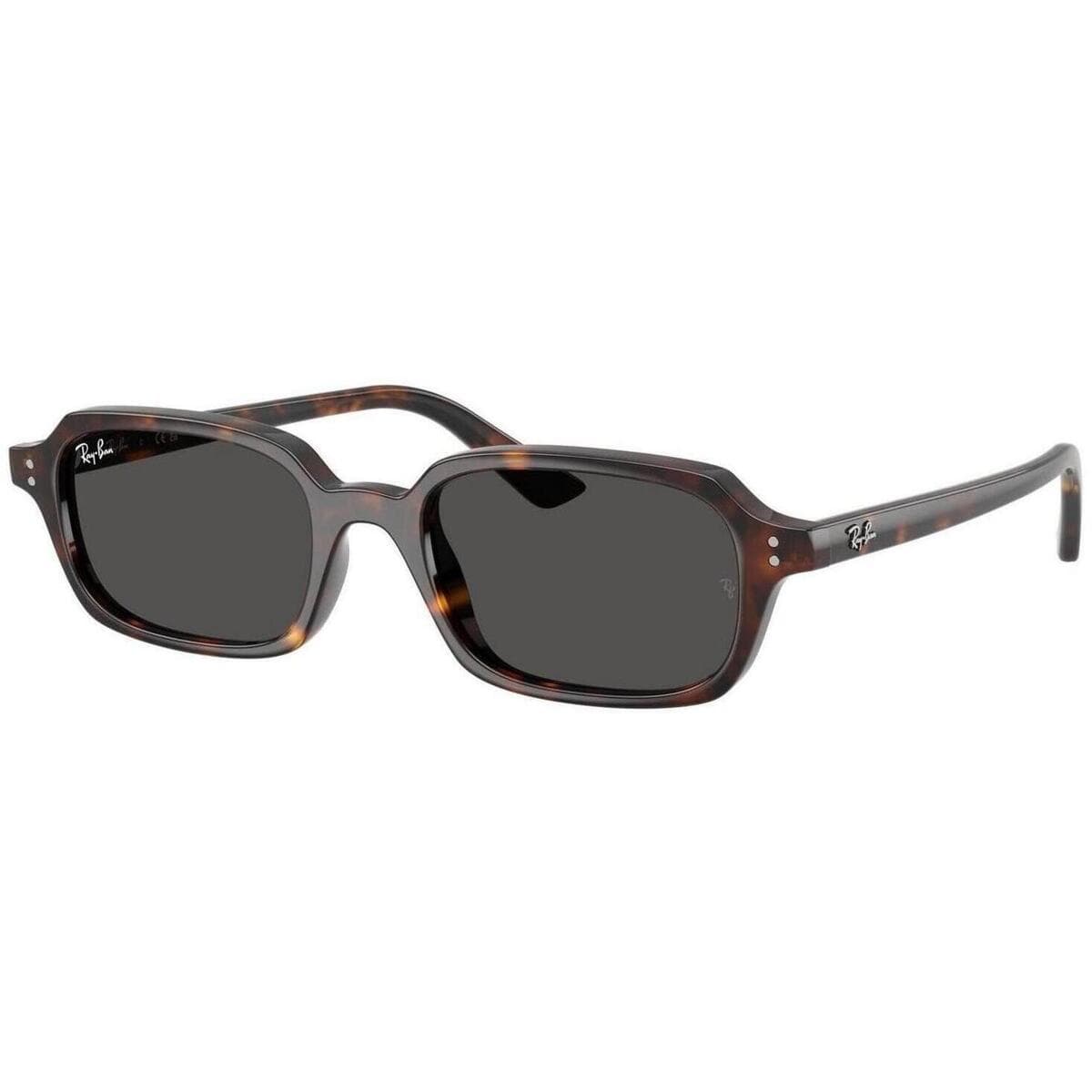 Men's Sunglasses Ray-ban Brown