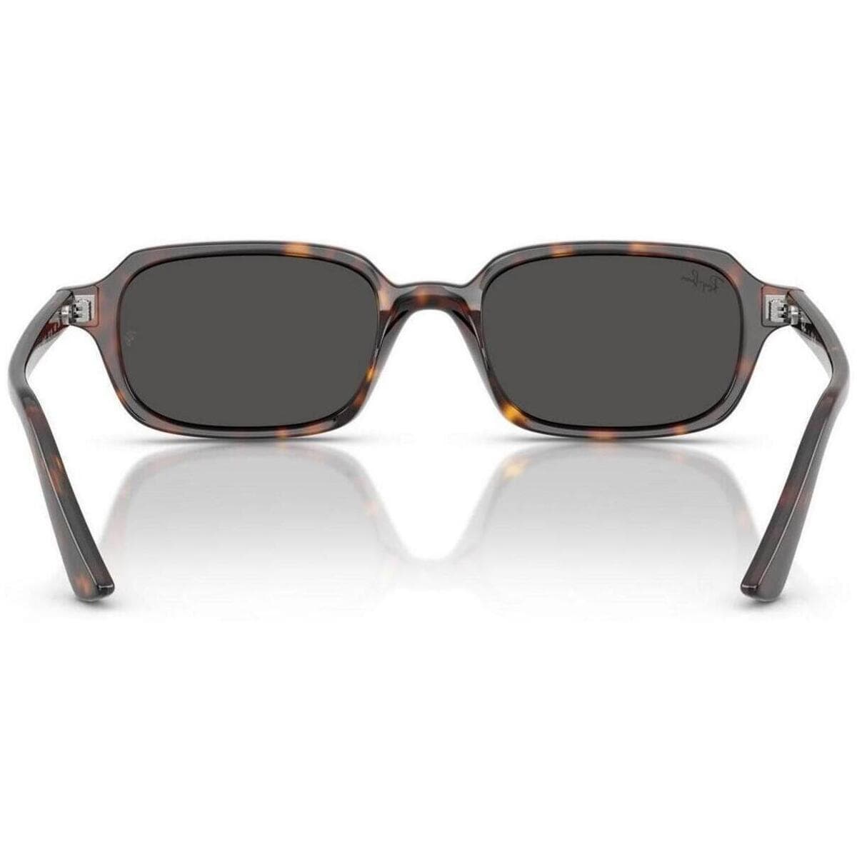 Men's Sunglasses Ray-ban Brown