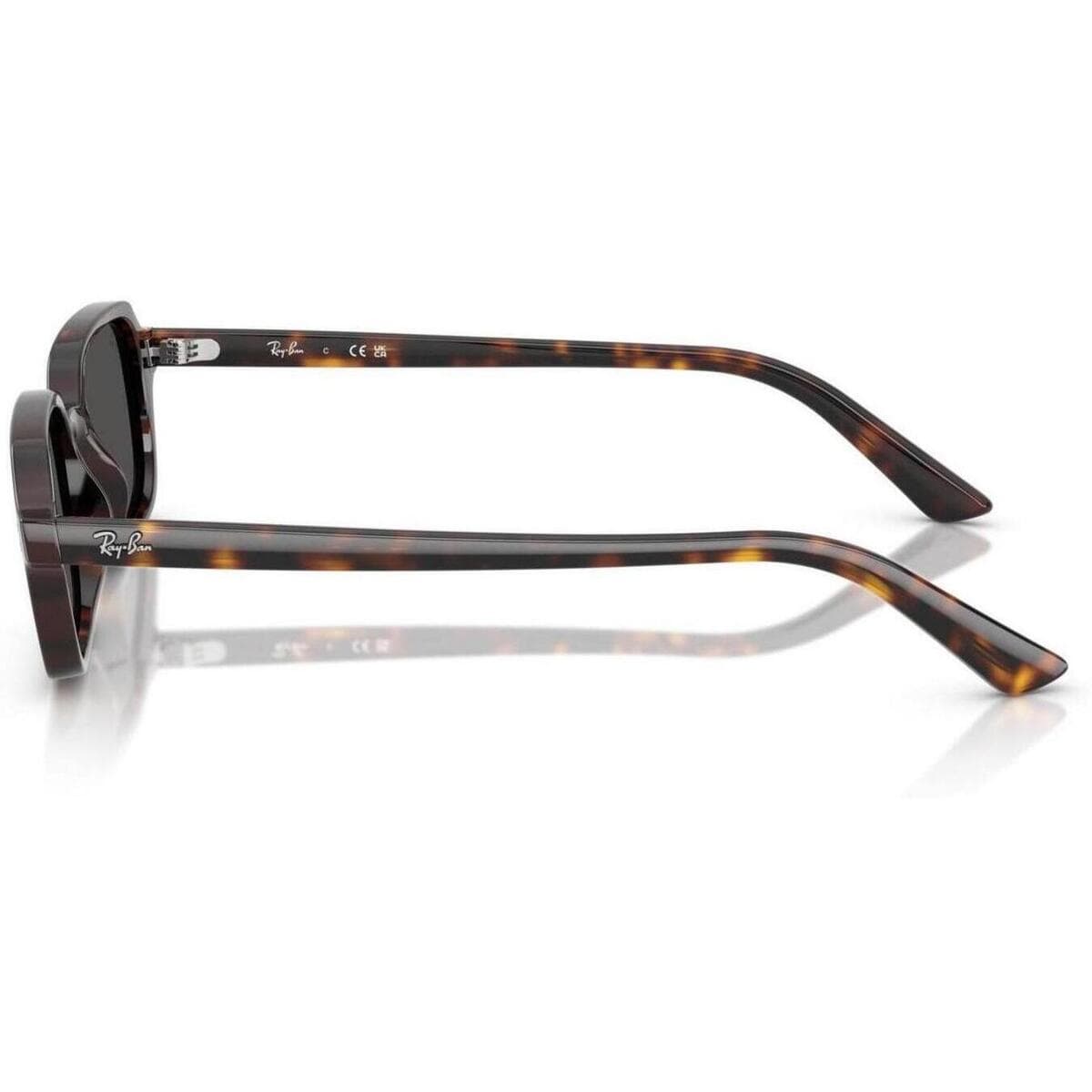 Men's Sunglasses Ray-ban Brown