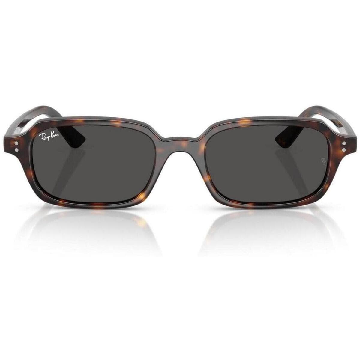 Men's Sunglasses Ray-ban Brown