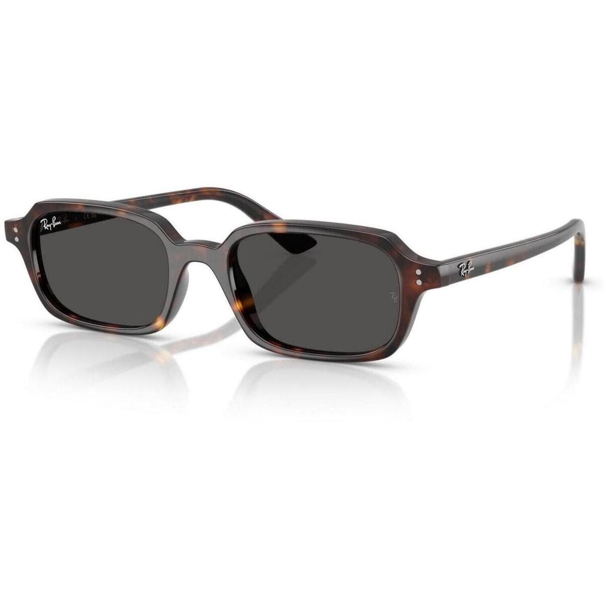 Men's Sunglasses Ray-ban Brown