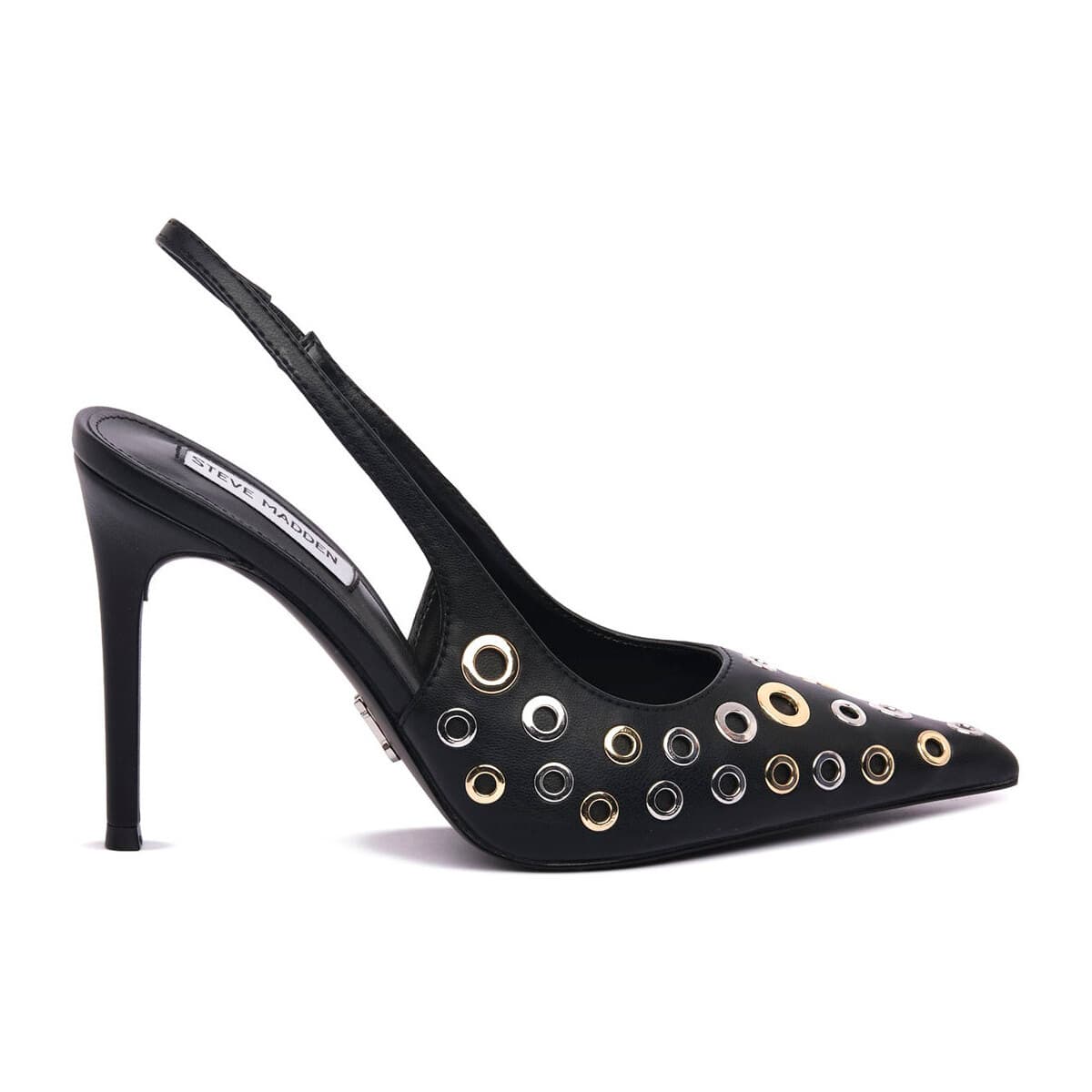 Women's Pumps Steve Madden Black
