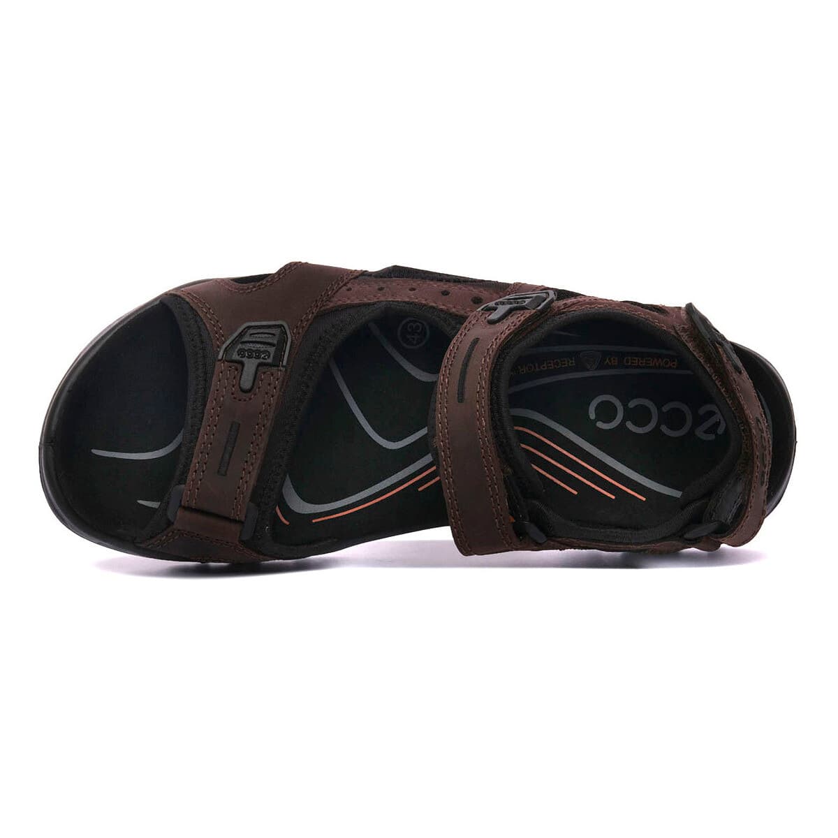 Men's Sandals Ecco Black