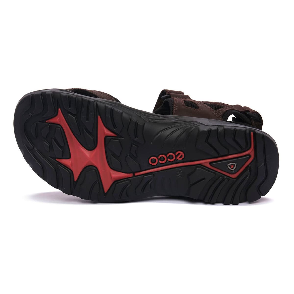 Men's Sandals Ecco Black