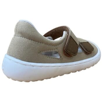 Boys' Sandals Coqueflex Gray