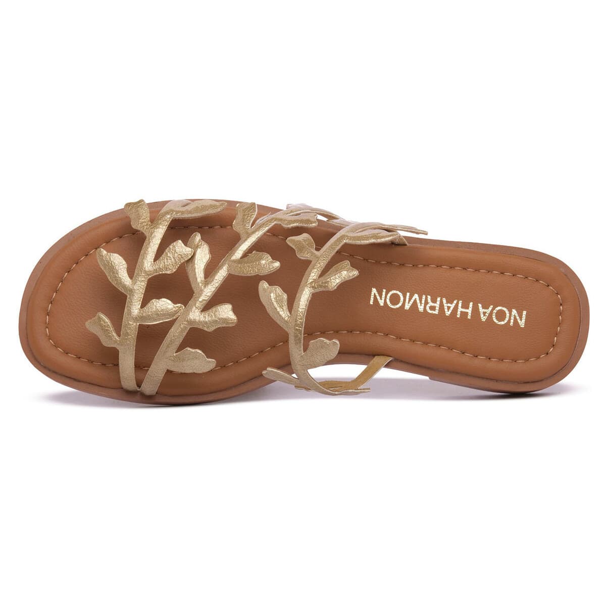 Women's Mules Noa Harmon Black