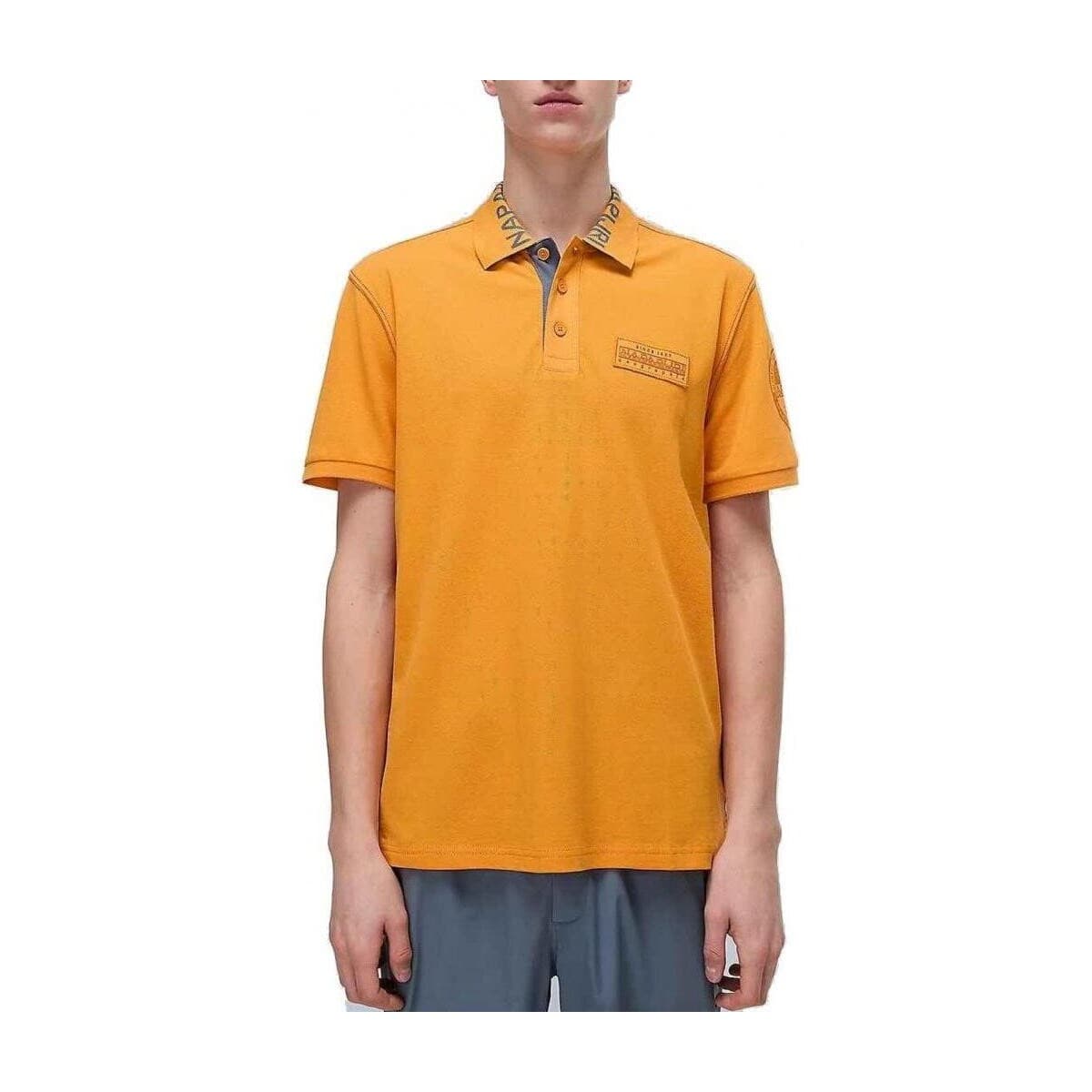 T-shirts & Polos Napapijri Polos Hombre Modèle E Amundsen