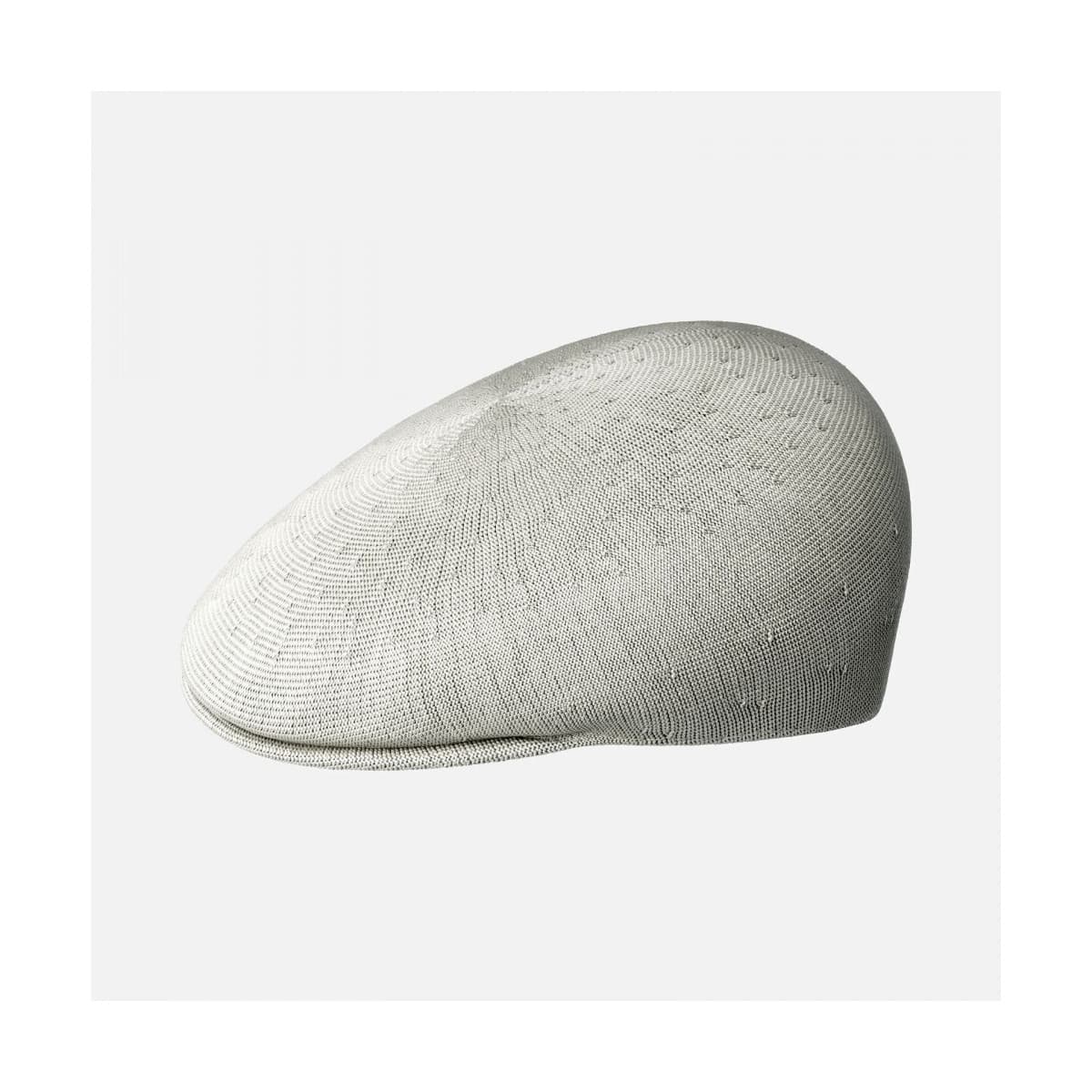 Men's Caps Kangol White