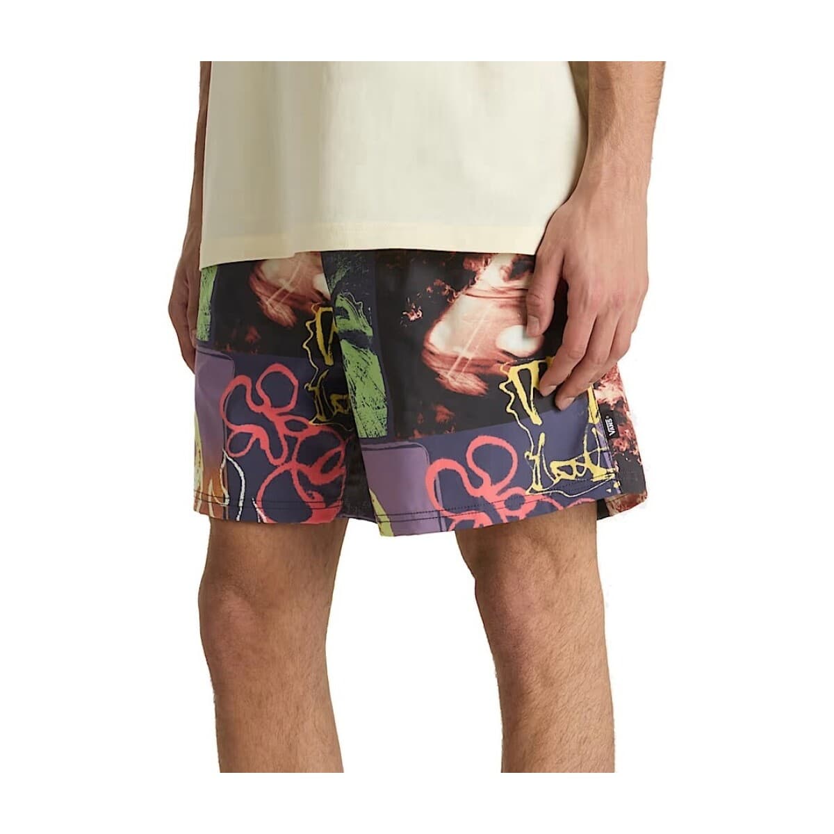 Men's Swimwear Vans Multicolor