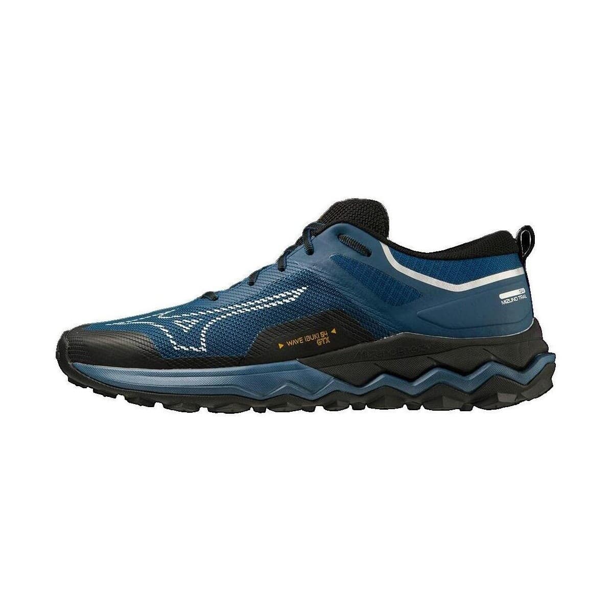 Men's Running Shoes Mizuno Blue