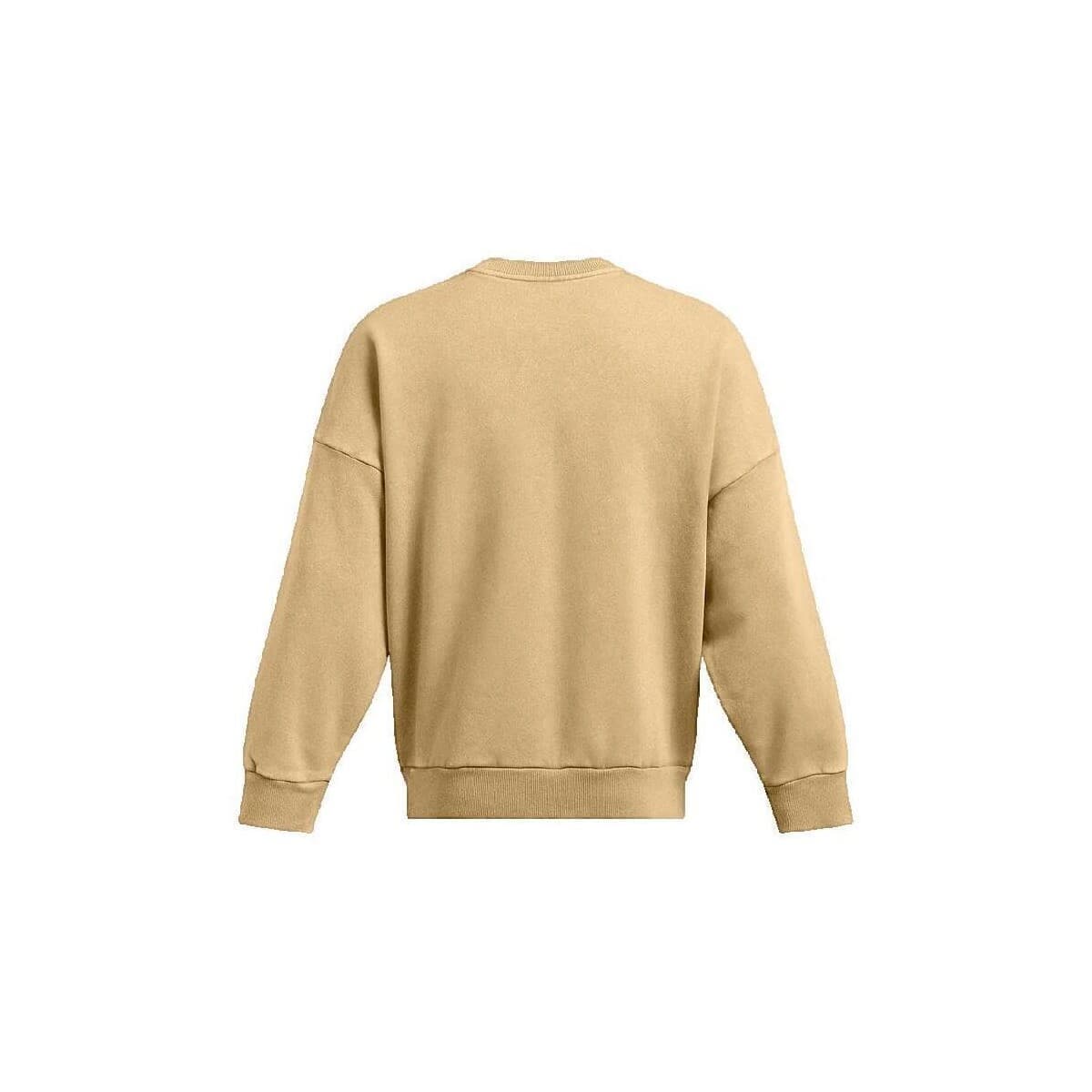 Men's Sweatshirts Under Armour Brown