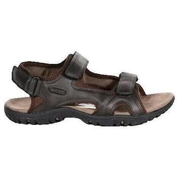 Men's Sandals Regatta Brown
