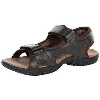 Men's Sandals Regatta Brown