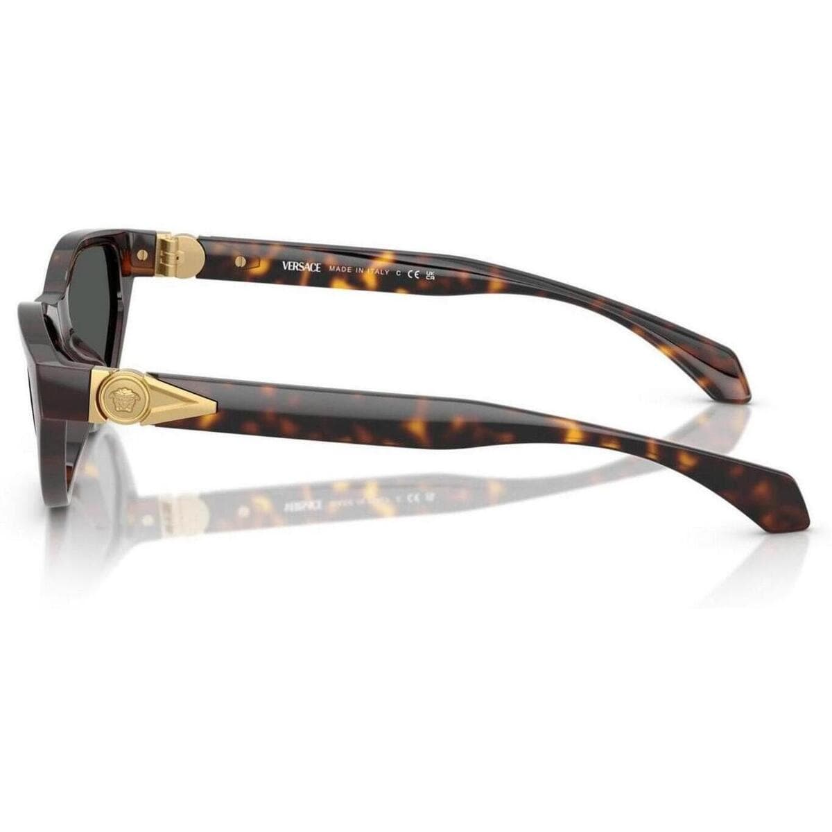 Women's Sunglasses Versace Brown