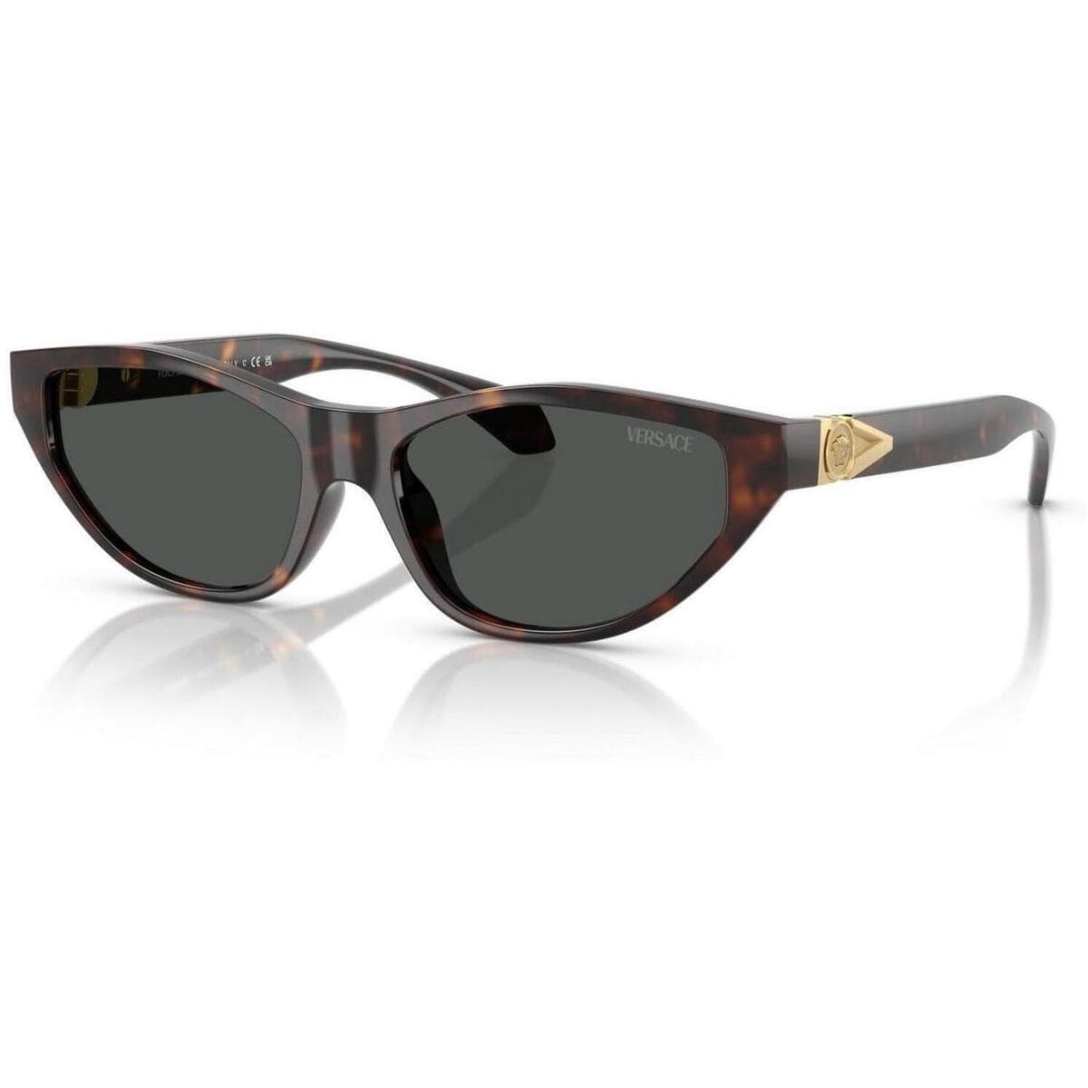 Women's Sunglasses Versace Brown