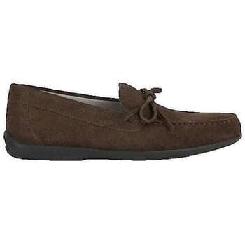 Men's Loafers Geox Brown