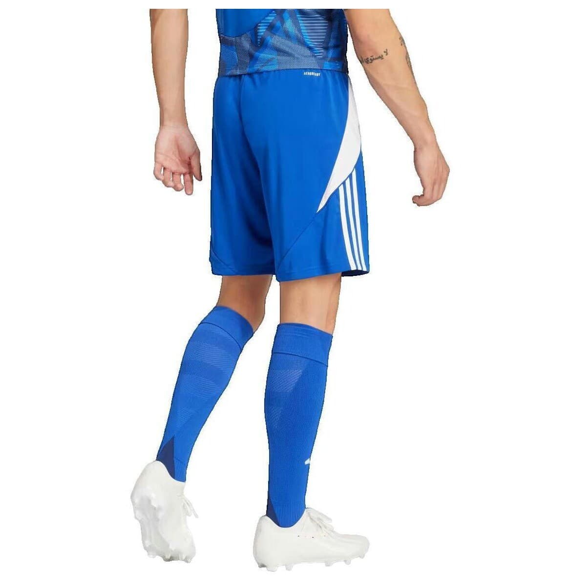 Men's Shorts adidas Blue