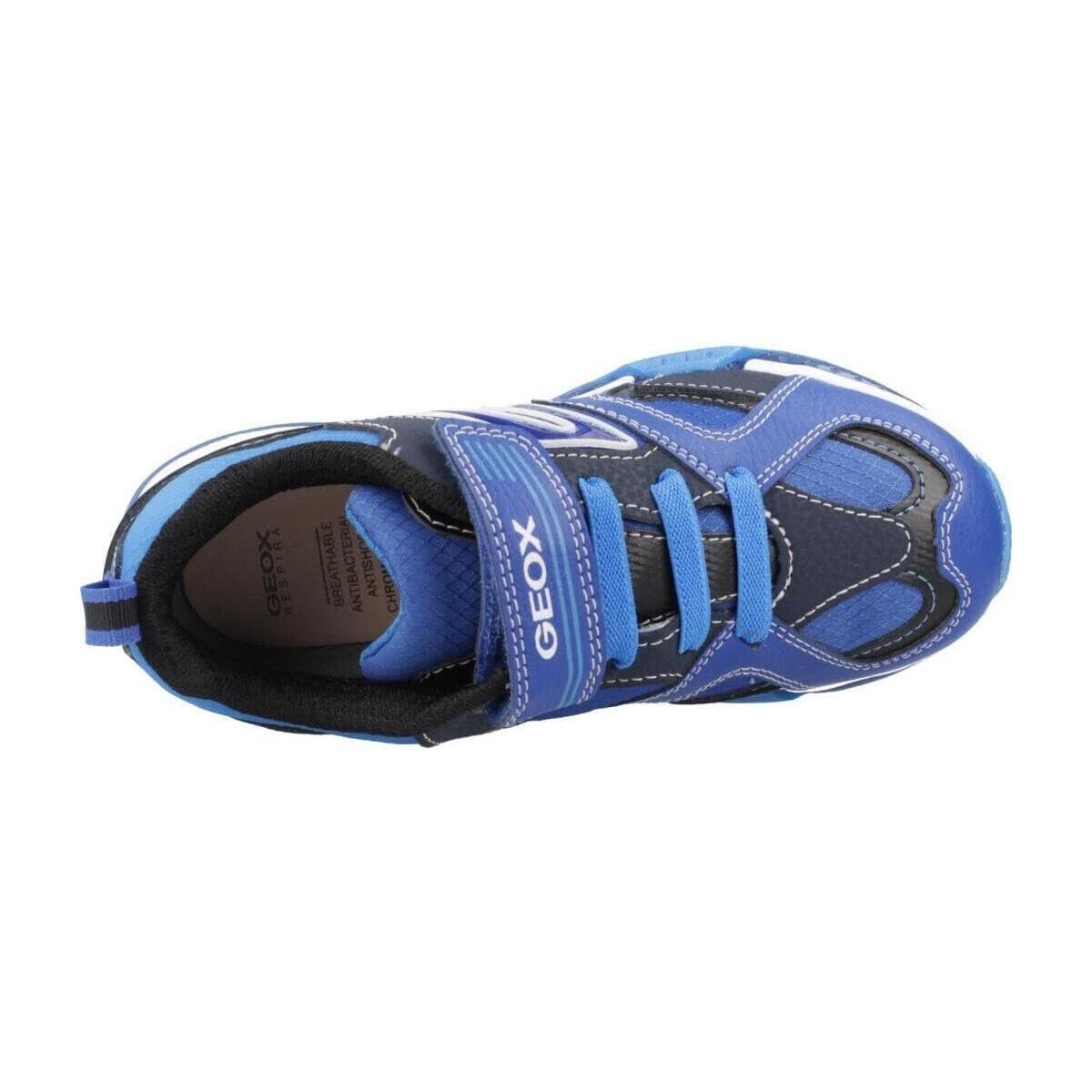 Boys' Sneakers Geox Blue
