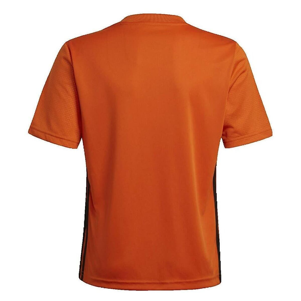 Boys' Swimwear adidas Orange