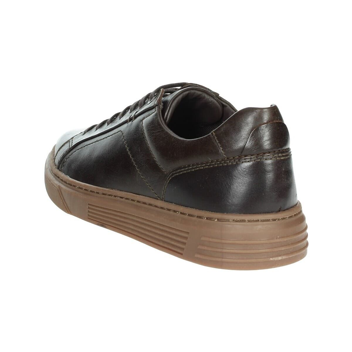 Men's Sneakers Pregunta Brown