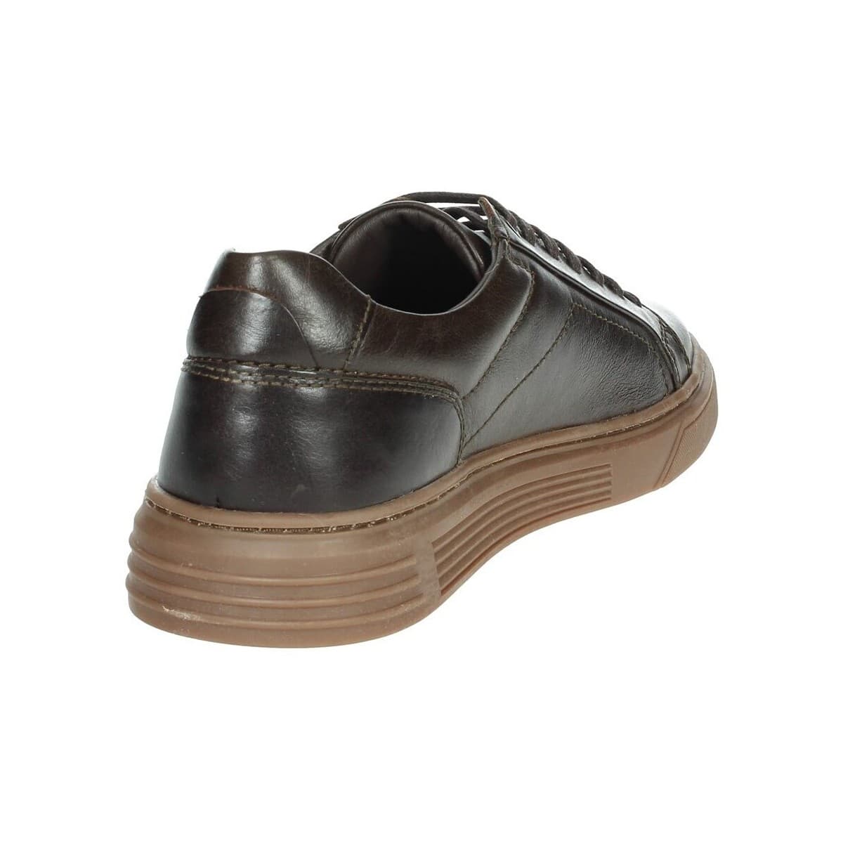 Men's Sneakers Pregunta Brown