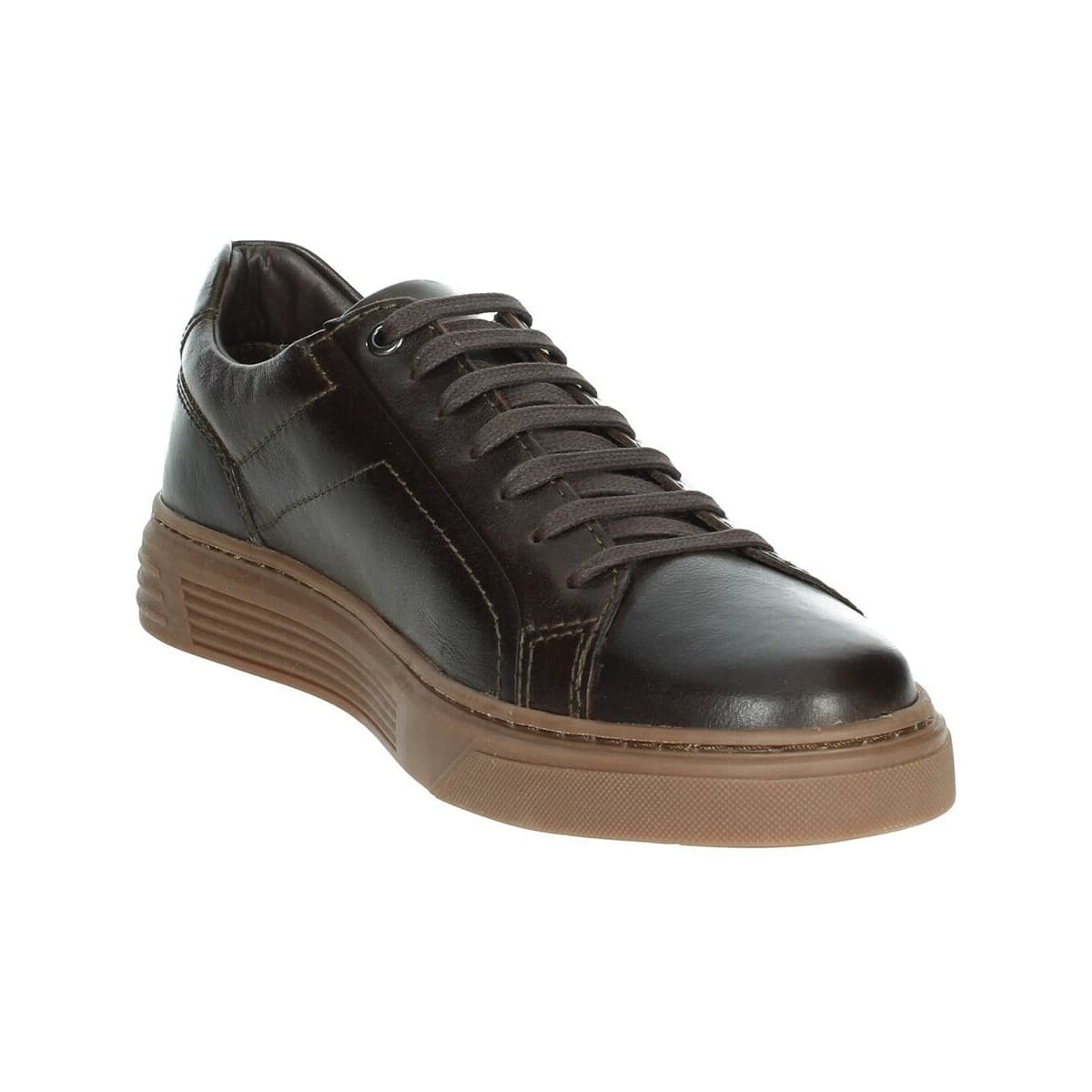 Men's Sneakers Pregunta Brown