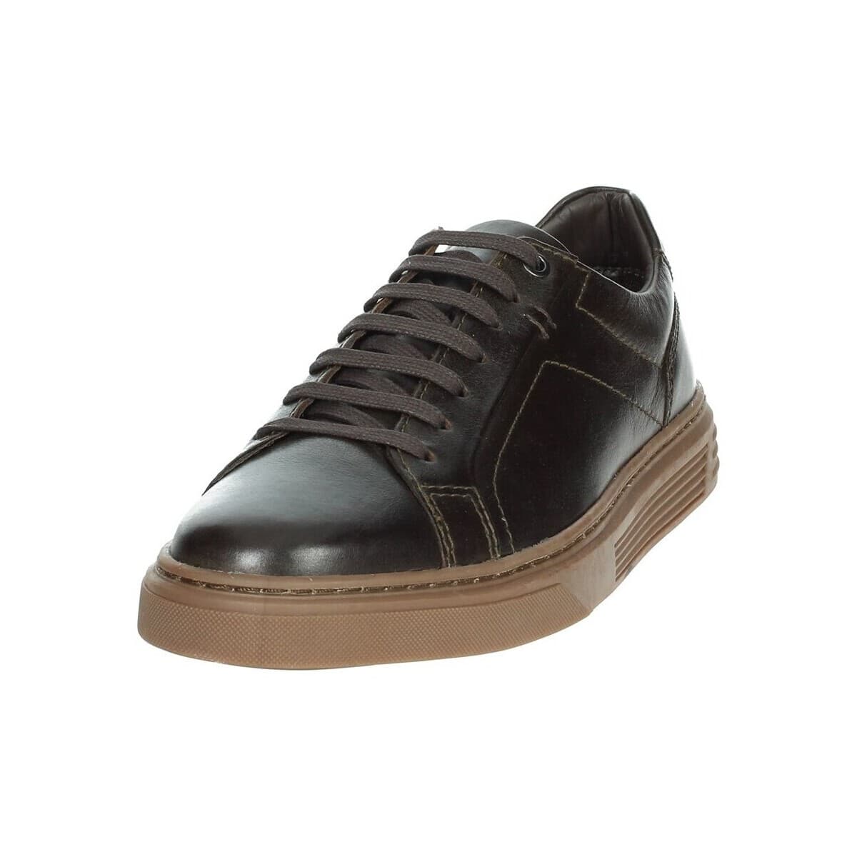 Men's Sneakers Pregunta Brown