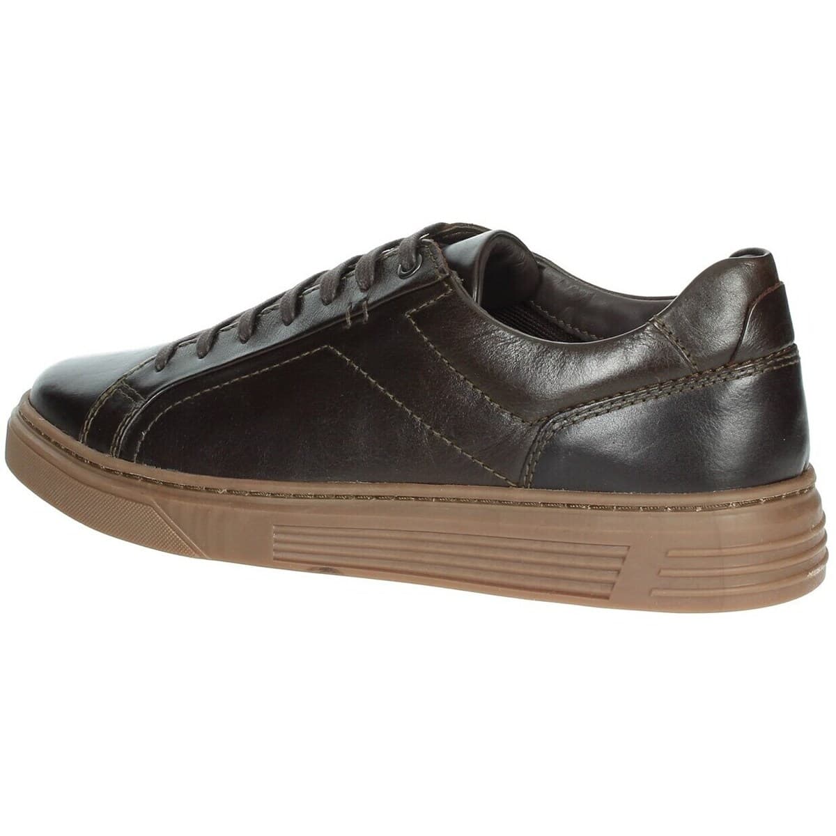 Men's Sneakers Pregunta Brown