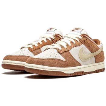Women's Sneakers Nike Brown