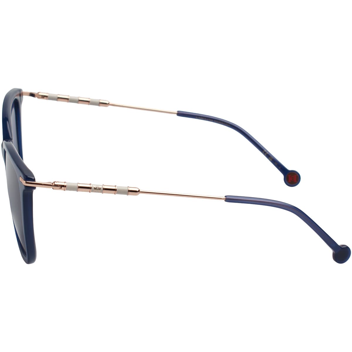 Women's Sunglasses Carolina Herrera Blue