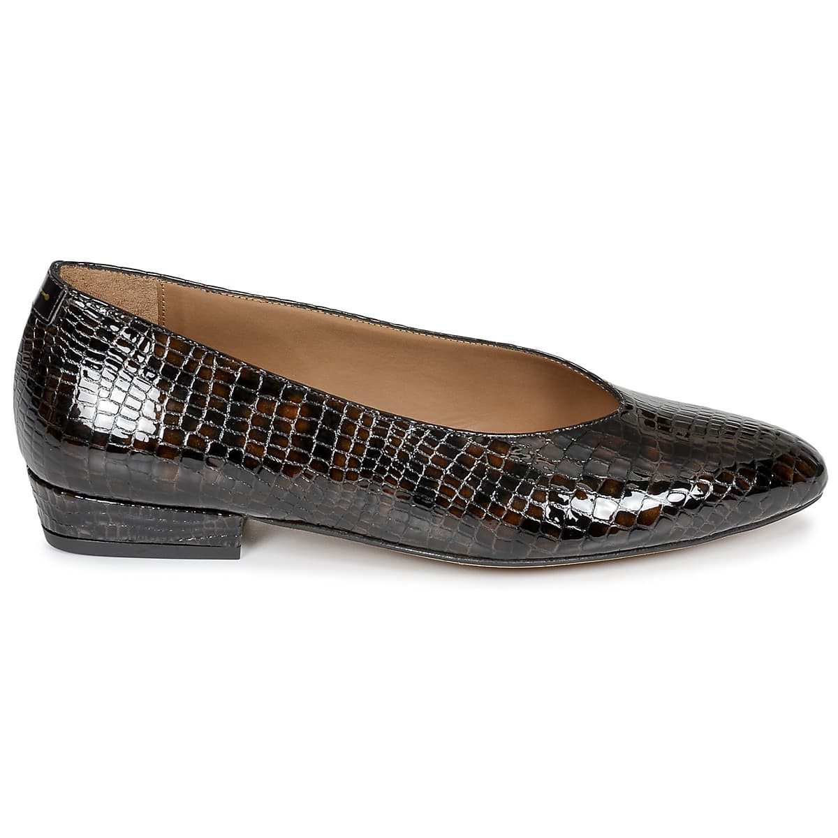 Women's Ballet Flats Anthology Paris Brown