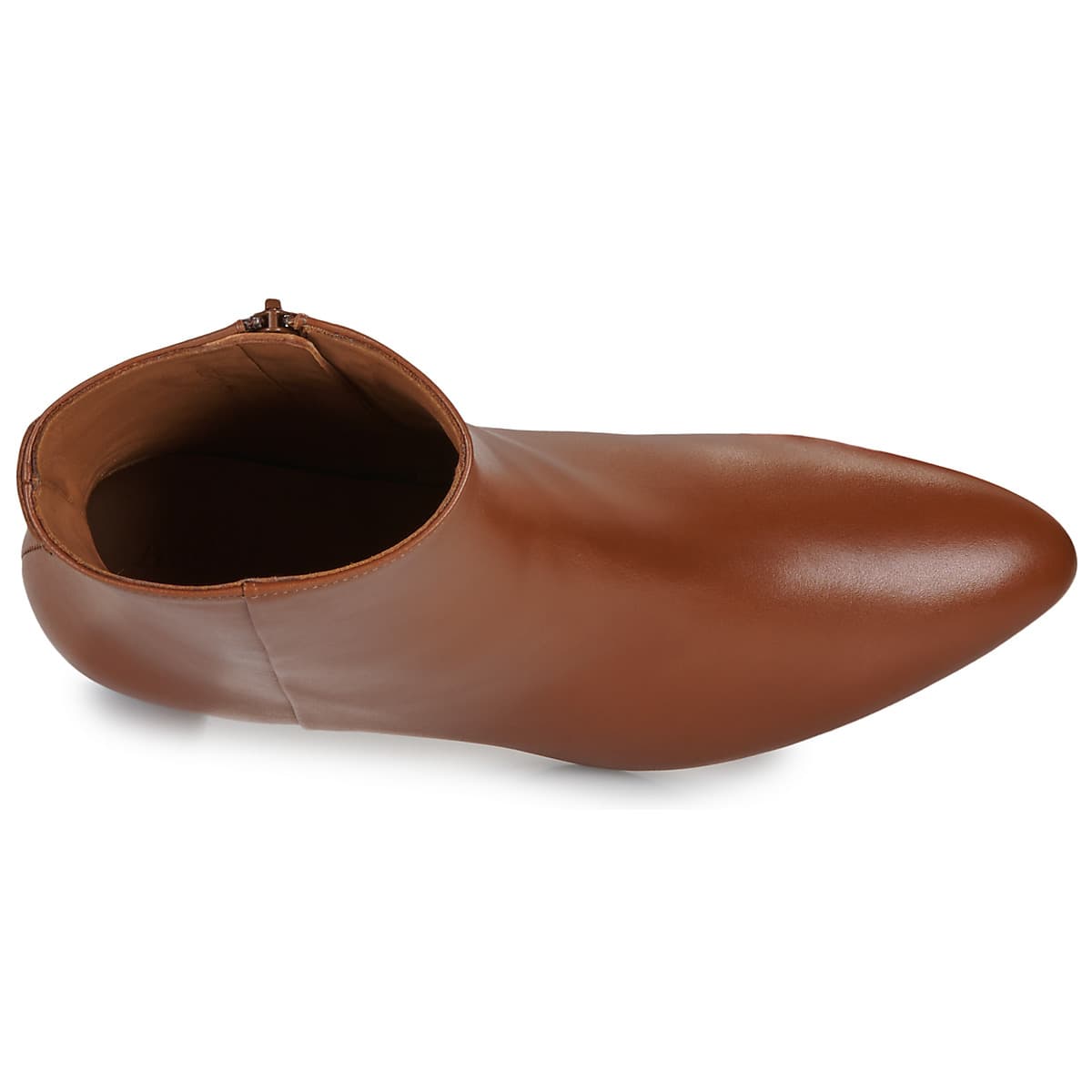 Women's Ankle Boots Anthology Paris Brown