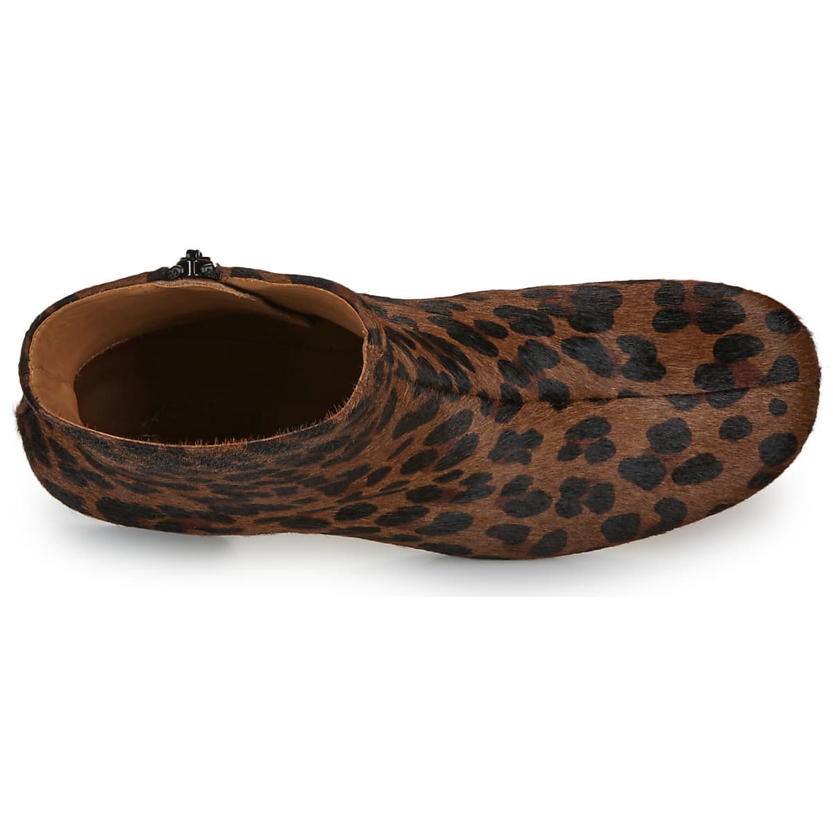 Women's Ankle Boots Anthology Paris Brown