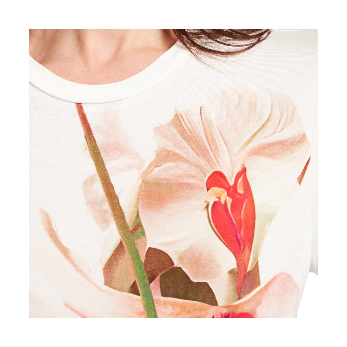 Women's T-Shirts Ted Baker Multicolor