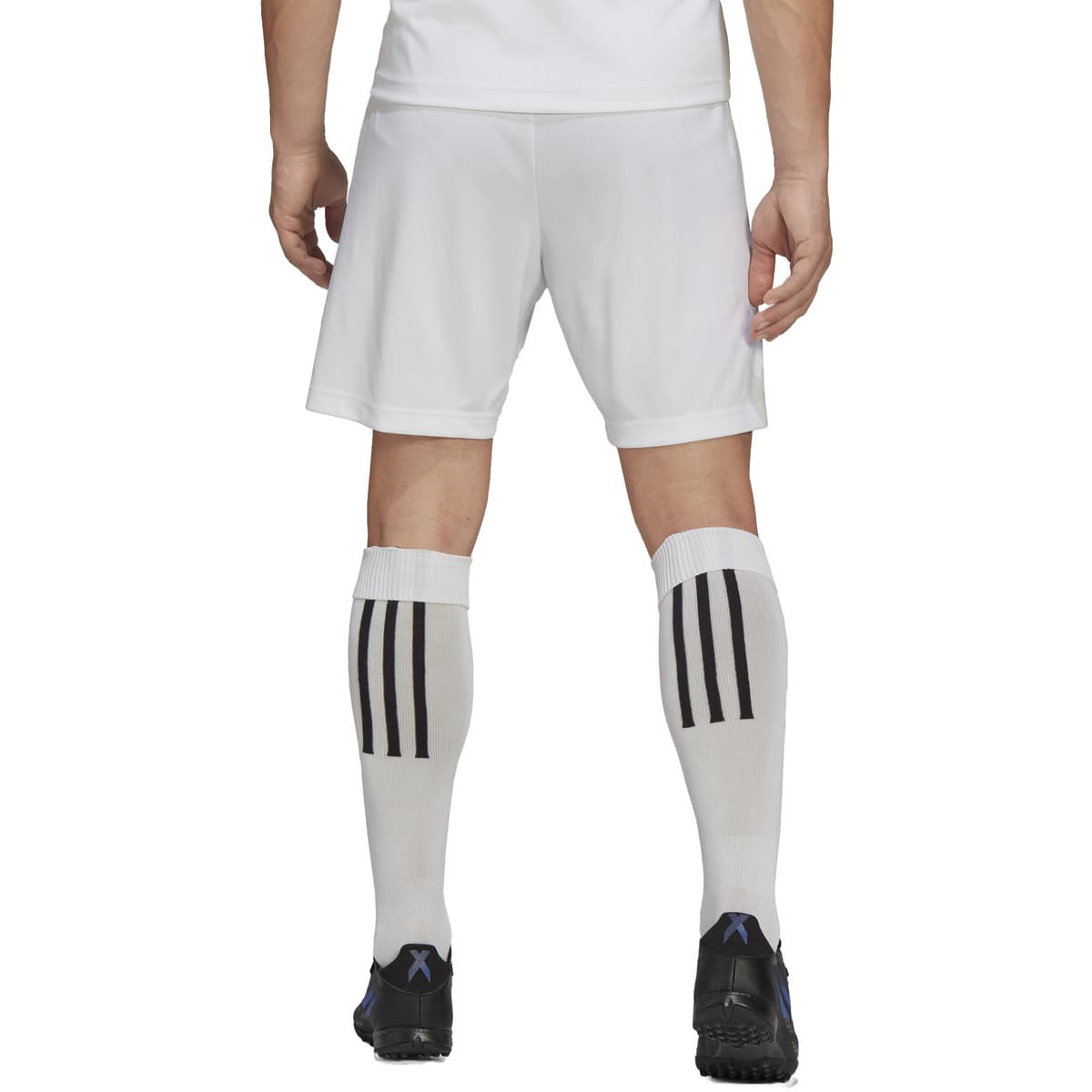 Men's Shorts adidas White
