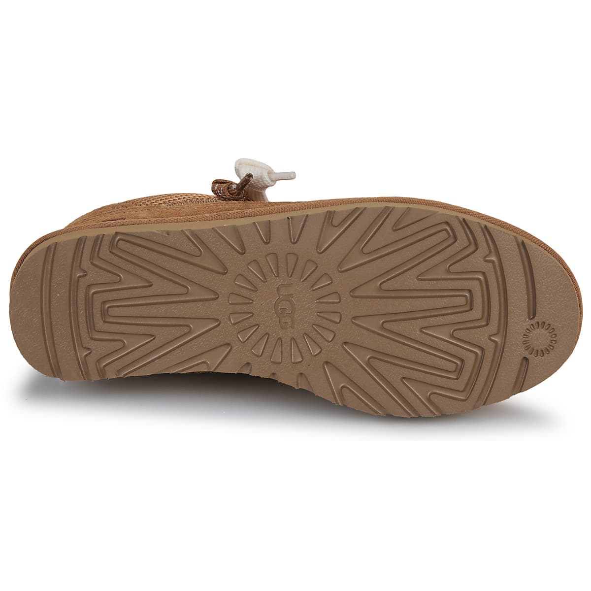 Women's Sneakers UGG Brown