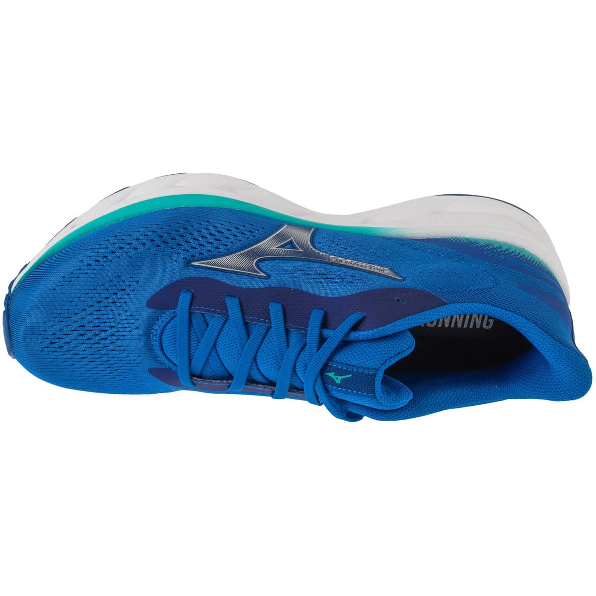 Men's Running Shoes Mizuno Blue