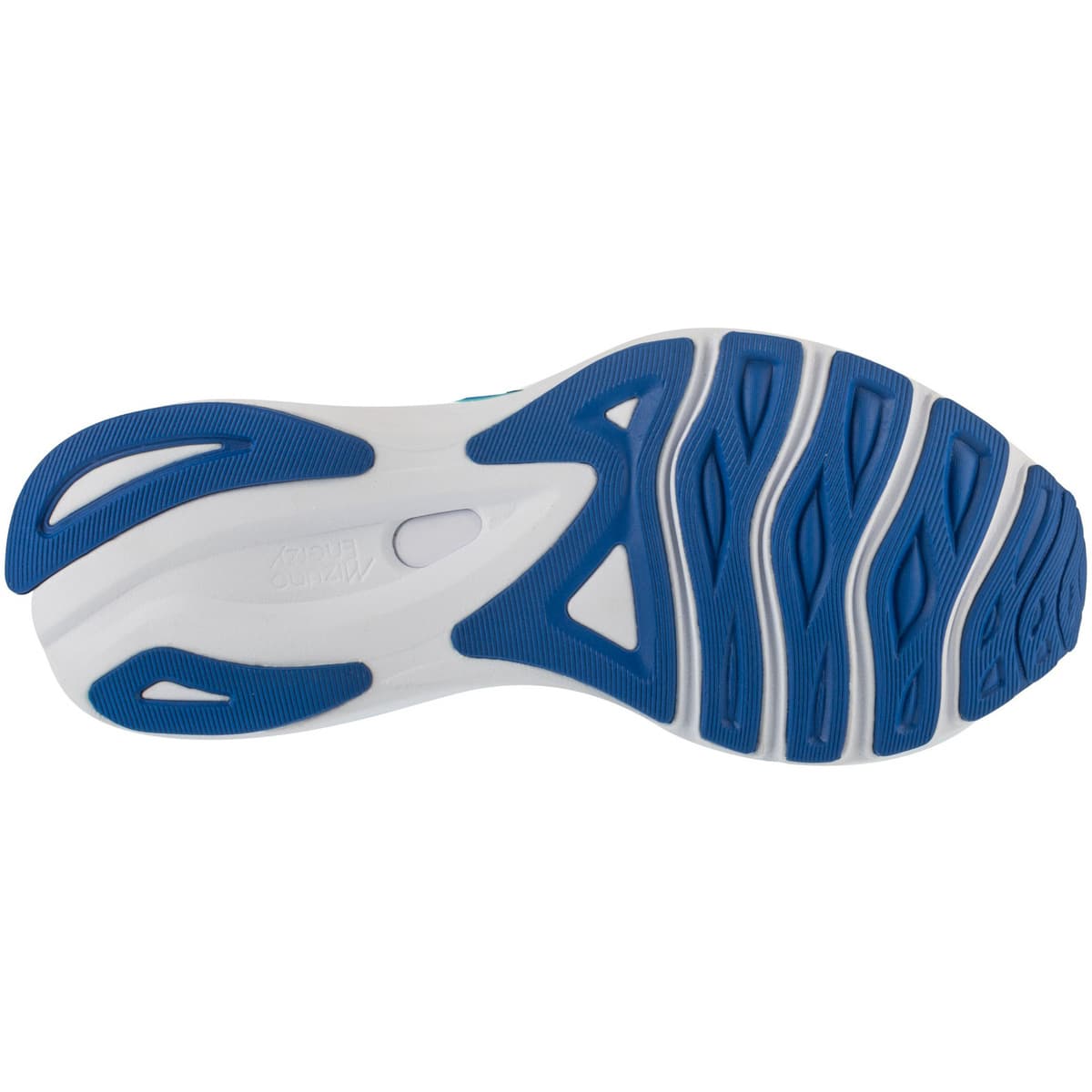 Men's Running Shoes Mizuno Blue