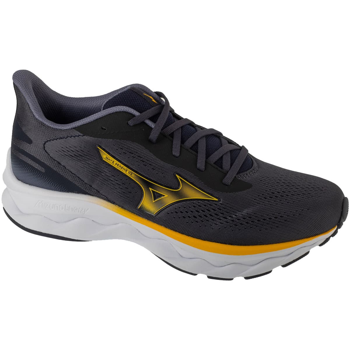 Men's Running Shoes Mizuno Gray